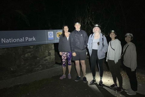 Byron Bay Kayaking With Dolphins And Mount Warning Sunrise Climb Including Overnight Camping And BBQ Dinner - Accommodation Directory 2