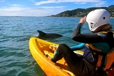 Byron Bay Kayaking With Dolphins And Mount Warning Sunrise Climb Including Overnight Camping And BBQ Dinner - Accommodation Directory 7