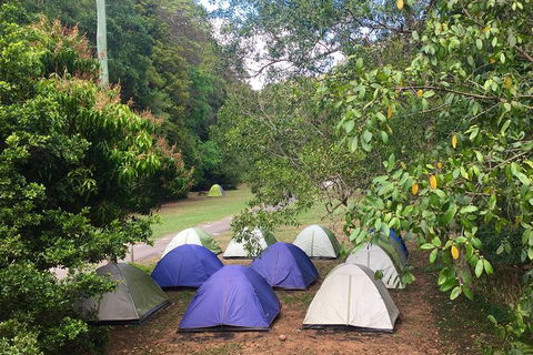 Byron Bay Kayaking With Dolphins And Mount Warning Sunrise Climb Including Overnight Camping And BBQ Dinner - Accommodation Directory 13