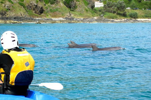 Byron Bay Kayaking With Dolphins And Mount Warning Sunrise Climb Including Overnight Camping And BBQ Dinner - Accommodation Directory 8
