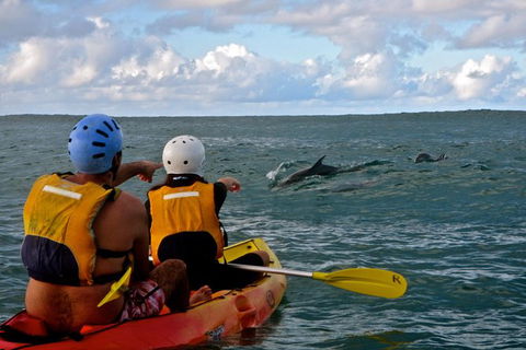 Byron Bay Kayaking With Dolphins And Mount Warning Sunrise Climb Including Overnight Camping And BBQ Dinner - Accommodation Directory 3