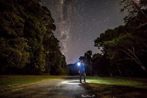 Byron Bay Surfing Lesson And Mount Warning Sunrise Climb Including Overnight Camping And BBQ Dinner - Accommodation Directory 0