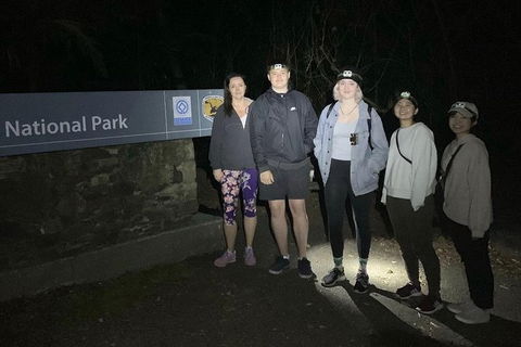 Byron Bay Surfing Lesson And Mount Warning Sunrise Climb Including Overnight Camping And BBQ Dinner - Accommodation Directory 13