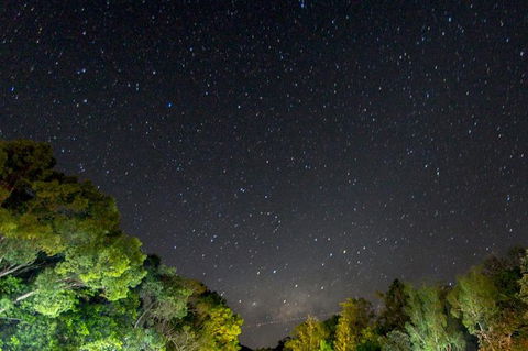 Byron Bay Surfing Lesson And Mount Warning Sunrise Climb Including Overnight Camping And BBQ Dinner - Accommodation Directory 12