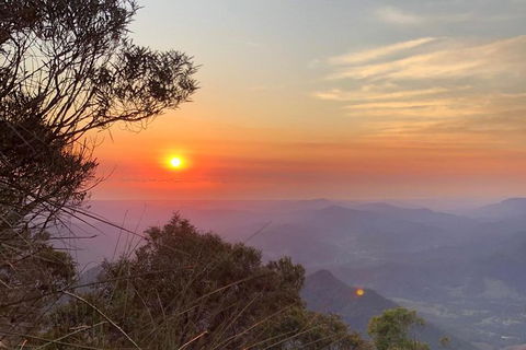 Byron Bay Surfing Lesson And Mount Warning Sunrise Climb Including Overnight Camping And BBQ Dinner - Accommodation Directory 10