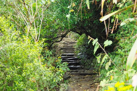 Byron Bay Surfing Lesson And Mount Warning Sunrise Climb Including Overnight Camping And BBQ Dinner - Accommodation Directory 17