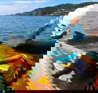Byron Bay Combo Hinterland Tour Including Minyon Falls and Kayaking with Dolphins - Accommodation Directory