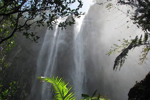 Minyon Falls Rainforest Walk - Accommodation Directory 0