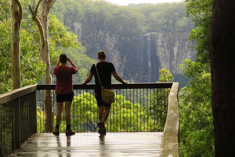 Minyon Falls Rainforest Walk - Accommodation Directory 5