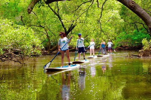 Byron Stand Up Paddle Nature Tour - Accommodation Directory 0