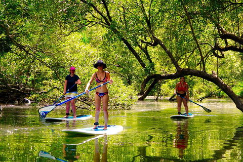 Byron Stand Up Paddle Nature Tour - Accommodation Directory 4