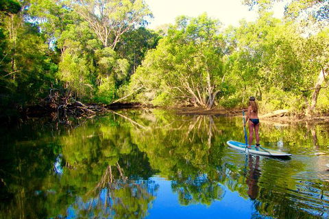 Byron Stand Up Paddle Nature Tour - Accommodation Directory 3