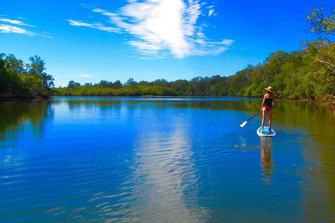 Byron Stand Up Paddle Nature Tour - Accommodation Directory 5
