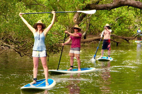 Byron Stand Up Paddle Nature Tour - Accommodation Directory 7