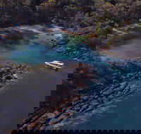 Jervis Bay Passage Tour - Accommodation Directory