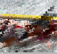 Jervis Bay Boom Netting and Dolphins Tour - Accommodation Directory