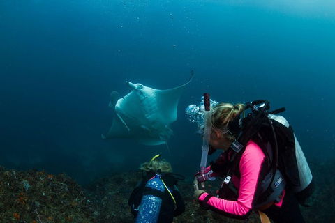 5-Hour Byron Bay Introductory Scuba Diving Tour - Accommodation Directory 2