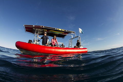 5-Hour Byron Bay Introductory Scuba Diving Tour - Accommodation Directory 10