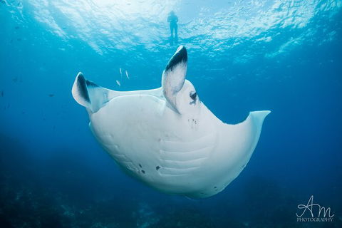 5-Hour Byron Bay Introductory Scuba Diving Tour - Accommodation Directory 8