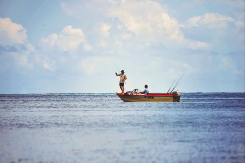 Barramundi To Trevally – A Seaforth Fishing Adventure - Accommodation Directory 1