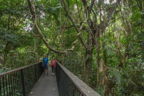 Barron Gorge National Park - Accommodation Directory 2