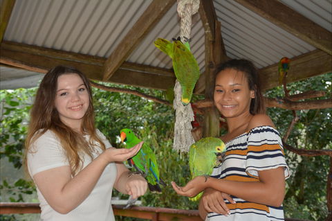 Birdworld Kuranda - Accommodation Directory 0
