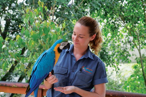 Birdworld Kuranda - Accommodation Directory 1