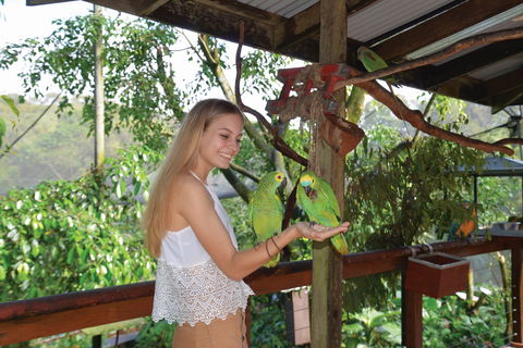 Birdworld Kuranda - Accommodation Directory 2