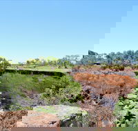 Bladensburg National Park - Accommodation Directory