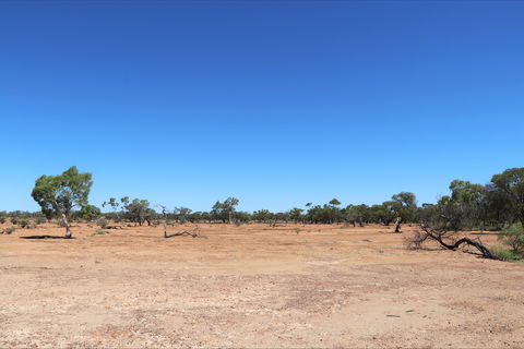 Bladensburg National Park - Accommodation Directory 1