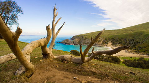 Blowhole Beach - Accommodation Directory 0