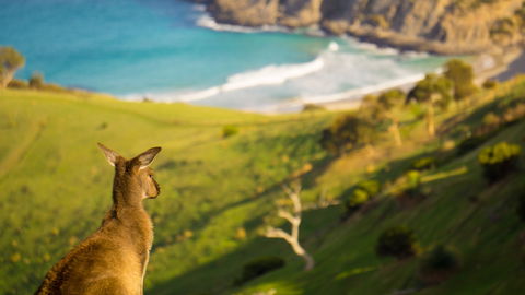 Blowhole Beach - Accommodation Directory 1