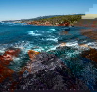 Boyds Tower to Saltwater Creek Walking Track - Accommodation Directory