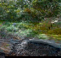 Browns Forest Loop Trail - Accommodation Directory