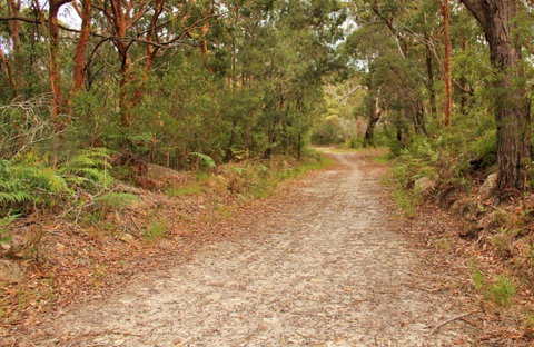 Daleys Point Walking Track - Accommodation Directory 0