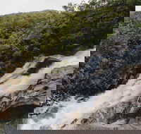 Davies Creek National Park and Dinden National Park - Accommodation Directory