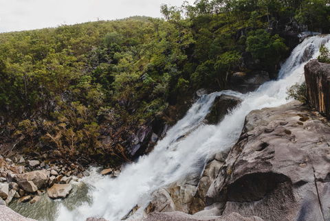 Davies Creek National Park And Dinden National Park - Accommodation Directory 0