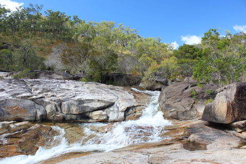 Davies Creek National Park And Dinden National Park - Accommodation Directory 2