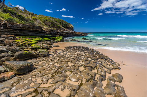 Dawsons Island Beach - Accommodation Directory 0