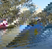 Doodle Cooma Swamp - Accommodation Directory