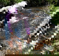 Fossicking - Accommodation Directory