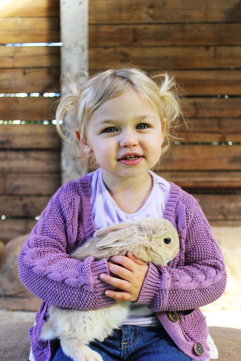 Golden Ridge Animal Farm - Accommodation Directory 0