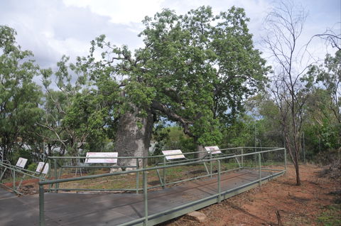 Gregory's Tree, Timber Creek - Accommodation Directory 1