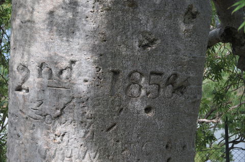 Gregory's Tree, Timber Creek - Accommodation Directory 2