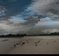 Hardwicke Bay - Accommodation Directory