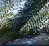 Hastings Forest Way Touring Route - Accommodation Directory