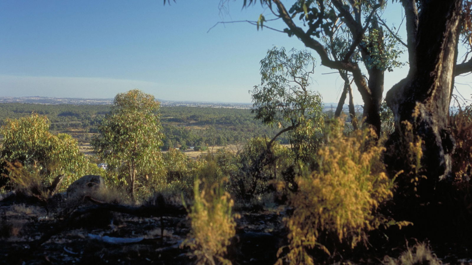 The Goldfields VIC Accommodation Directory