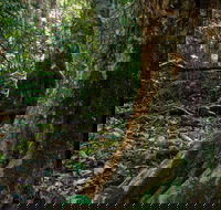 Hidden Treasure Track - Accommodation Directory
