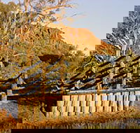 Illamurta Springs Conservation Reserve - Accommodation Directory