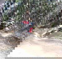 Jolly Nose Mountain Bike Park - Accommodation Directory